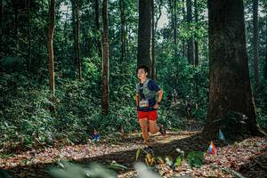 BIB: 
                            <button type="button" onclick="openModal(26078394)" class="btn btn-primary btn-sm float-right btn-popup" data-toggle="modal" data-target=".modal-high-quality">
                        <i class="fas fa-shopping-cart"></i> Add to Cart
                    </button>
                                            <button type="button" onclick="isThisMe(26078394, true)" class="btn btn-success btn-sm float-right btn-popup btn-isme hidden" data-toggle="tooltip" data-placement="bottom" title="นี่คือรูปของคุณใช่ไหม คลิกที่นี่เพื่อเอาเข้าอัลบั้ม">
                        <i class="fas fa-plus"></i> Add to album
                    </button>
                    <button type="button" onclick="isThisMe(26078394, false)" class="btn btn-warning btn-sm float-right btn-popup btn-isnotme hidden">
                        <i class="fas fa-ban"></i> Remove from album
                    </button>